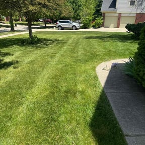 yard service by Williams General Services LLC reviewed on August 17, 2025