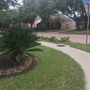 Bush Trimming by B.mendoza lanscaping reviewed on April 11, 2026