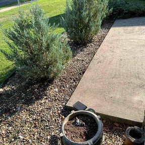 Flower Bed Weeding by Ramiro's Lawn Care reviewed on November 22, 2025