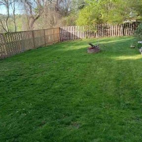 turf care by Trevor's lawn mowing reviewed on June 24, 2025