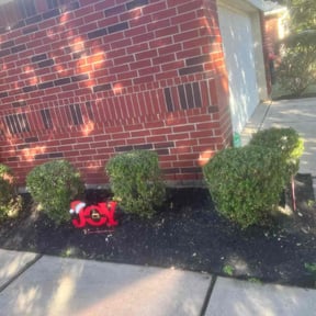 Bush Trimming by Loza Lawn & Home Services reviewed on August 18, 2025