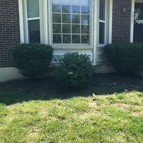 Flower Bed Weeding by R&T lawncare reviewed on August 15, 2025
