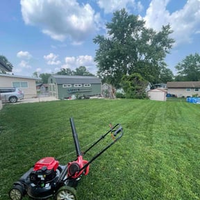 lawn care by Mola Property and Lawn Service reviewed on April 15, 2024