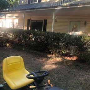 Bush Trimming by Loyalty lawn care reviewed on November 22, 2025