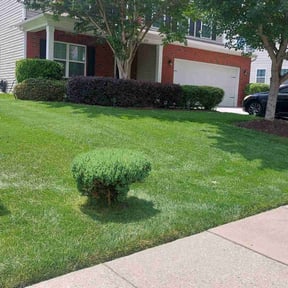lawn maintenance by Top Notch Lawn Care& MAINTENCE reviewed on August 21, 2025