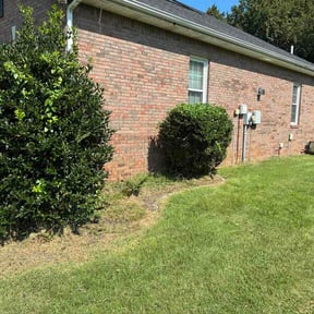 Bush Trimming by Neighborhood lawn pros LLC reviewed on August 15, 2026