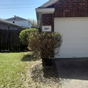 Bush Trimming by Just us landscaping LLC reviewed on August 20, 2025