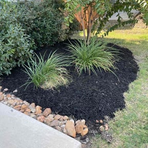 Mulching by selwyns cuts reviewed on August 15, 2025