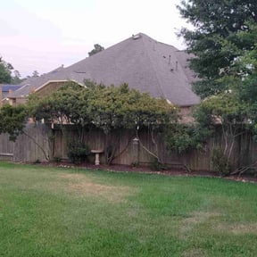 Bush Trimming by Enviroscape Services reviewed on August 19, 2025
