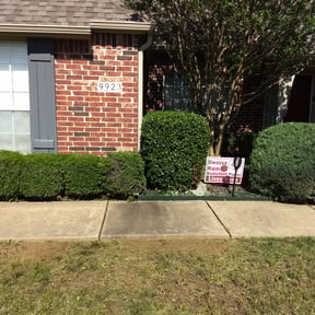 Bush Trimming by Landscape reviewed on November 21, 2025