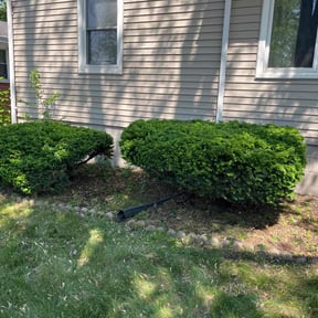 Bush Trimming by Top Lawn Companies, LLC reviewed on August 18, 2025