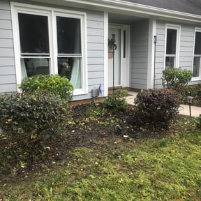 Bush Trimming by Gregory's lawn & landscape reviewed on August 21, 2025