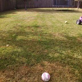 Leaf Removal by Sons bros and I lawn service reviewed on August 18, 2025