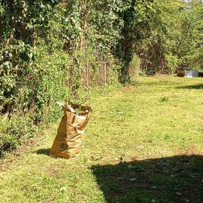 Bush Trimming by Just us landscaping LLC reviewed on August 15, 2025