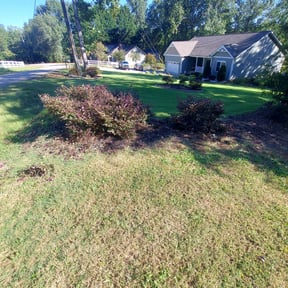 Bush Trimming by Integrity Lawn Care reviewed on August 21, 2025