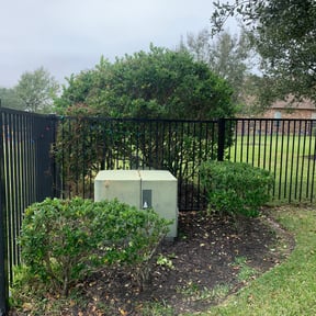 Bush Trimming by Cc landscaping reviewed on August 19, 2025