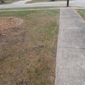 Leaf Removal by Both Sides Of The Fence Lawn Care and Maintenance LLC. reviewed on August 15, 2025