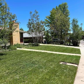 lawn maintenance by GypSea Pressure LLC reviewed on August 20, 2025