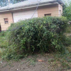 Bush Trimming by TOPCUTS LAWN CARE reviewed on November 8, 2025