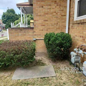 Bush Trimming by Next Door Lawn Care &amp; More llc reviewed on August 6, 2026