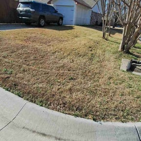 Leaf Removal by Torres lawn service reviewed on April 26, 2026