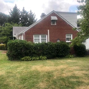 Bush Trimming by JD's lawn care services reviewed on August 21, 2025