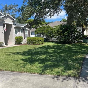 turf care by Mow It Alls Of Vero LLC reviewed on September 30, 2024