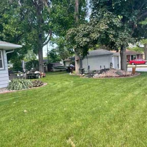 yard maintenance by Moy's landscaping reviewed on August 17, 2025