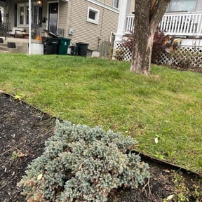 Leaf Removal by Smith Solves Situations LLC reviewed on January 17, 2026