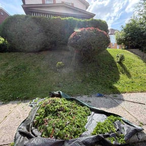 Bush Trimming by Patton Lawn Care reviewed on May 27, 2026