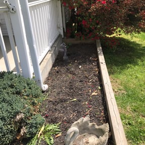 Bush Trimming by Eric's Lawn Care reviewed on August 21, 2025