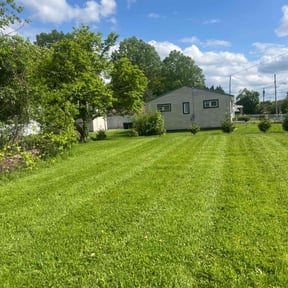 residential landscaping by A1 Landscape reviewed on August 15, 2025