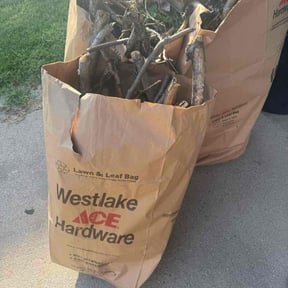 Leaf Removal by The Quiet Guys reviewed on September 9, 2025