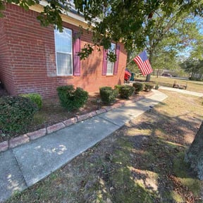 Bush Trimming by Landscaping reviewed on October 24, 2025