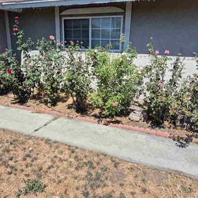 Flower Bed Weeding by ShiftChange LLC Lawn Service reviewed on July 30, 2026