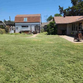 Bush Trimming by John's Landscaping reviewed on January 1, 2026