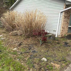 Flower Bed Weeding by Gilbert's Earth works reviewed on May 4, 2026
