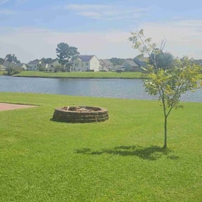 gardening service by Just Lawns LLC reviewed on November 20, 2025