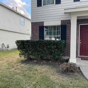 Bush Trimming by Fine Lines Landscaping reviewed on August 20, 2025