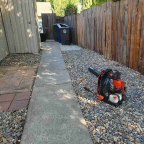 Leaf Removal by Walt Mandrick reviewed on September 8, 2025