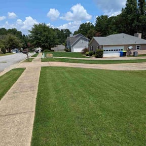 yard maintenance by Greene Enterprise reviewed on November 30, 2025