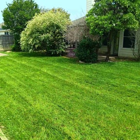 lawn care by It Grow We Mow Lawncare LLC reviewed on April 24, 2024