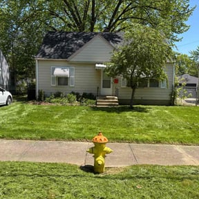 Long Grass Cleanup by AWWsome lawncare and Landscaping llc reviewed on May 6, 2024