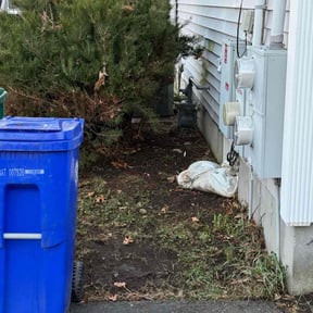 Leaf Removal by Yard Flip DC reviewed on July 2, 2026