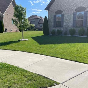 yard care by Michael Dover Jr reviewed on August 15, 2025