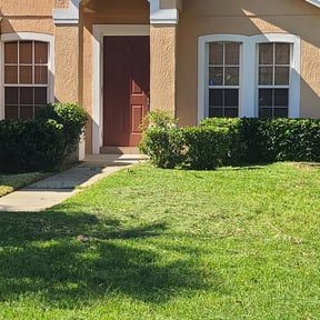 Bush Trimming by N.A.L Landscaping and Services LLC reviewed on August 20, 2025