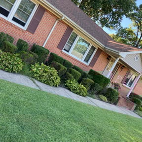 Bush Trimming by Billy Klipps Lawn Care reviewed on August 19, 2025