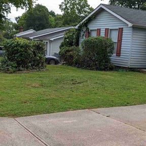 Bush Trimming by Just A Trim Lawn Care Maintenance reviewed on August 18, 2025