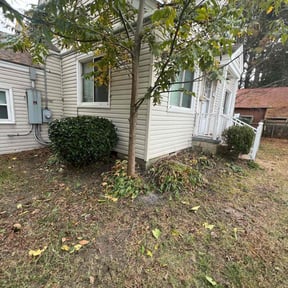 Bush Trimming by Lilly's Lawn Care reviewed on August 17, 2025