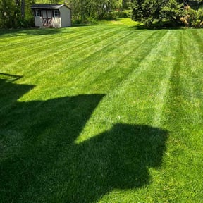yard service by Slick Lawns reviewed on August 17, 2025